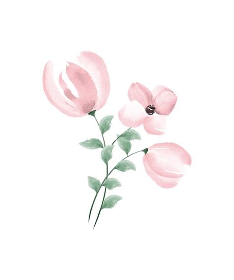 Premium Vector Pink Watercolor Flowers