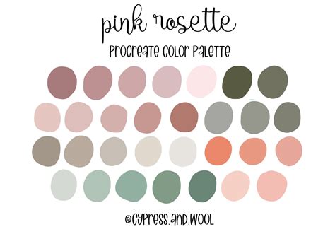 Pink Procreate Palette Ubicaciondepersonascdmxgobmx