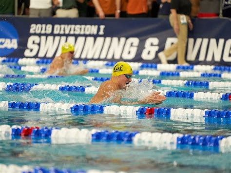 Di Mens College Swimming And Diving Home