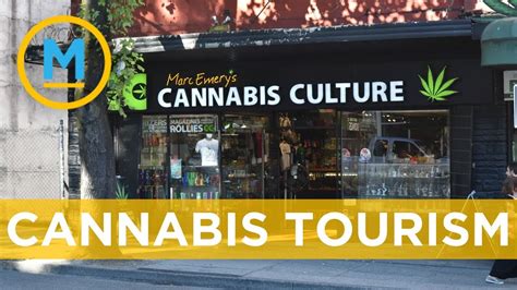Make sure you do your due diligence before investing, as the token is where to invest in xrp in 2021: Canada could see a spike in cannabis-driven tourism | Your ...