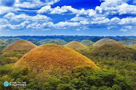 Chocolate Hills In Bohol How To Go Best Time To Go Activities