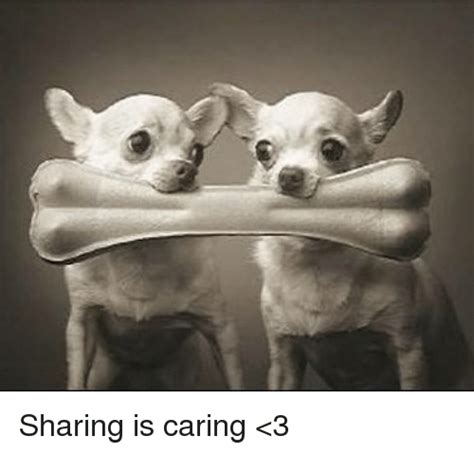 25 Best Memes About Sharing Is Caring Sharing Is Caring