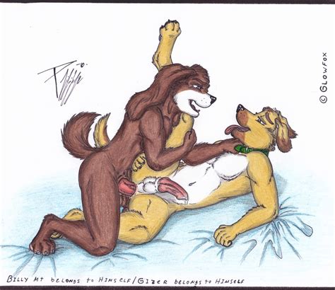 Rule 34 Anal Anal Sex Anthro Ass Billy Blue Brown Canine Collar Cum