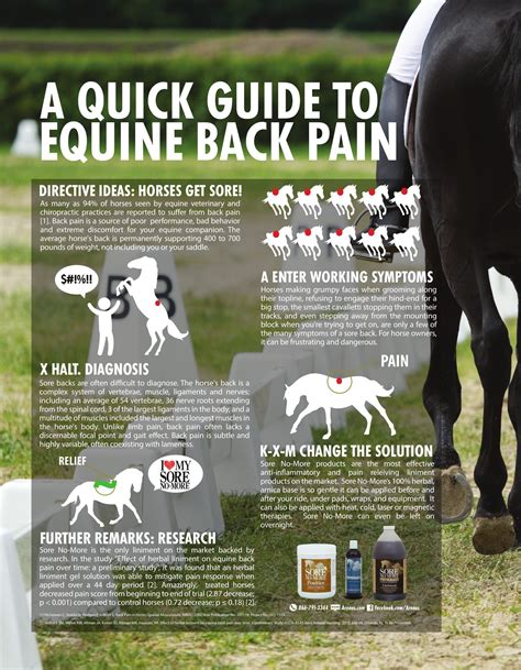 Pin On Equine Health