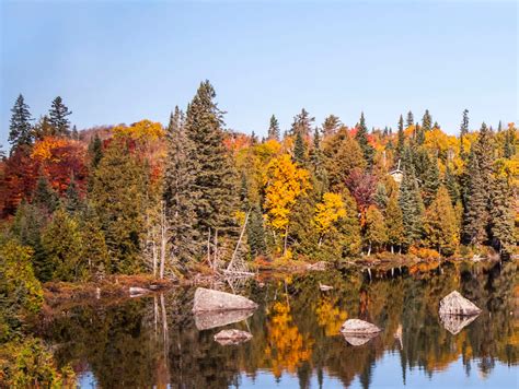 8 Getaways From Toronto To Enjoy The Fall Colours