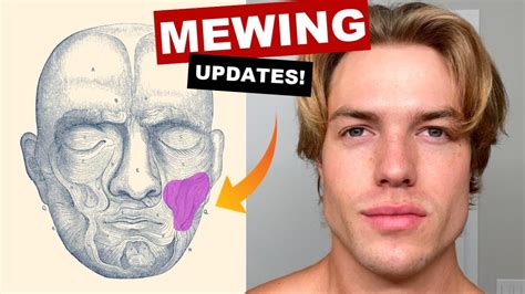 Mewing Updates Tips To Guarantee Jawline Improvements Youtube