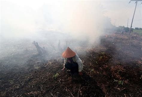 Tapak pembinaan yang tidak terurus. SEPTUM AIR PURIFIER: GAMBAR PUNCA-PUNCA PENCEMARAN UDARA