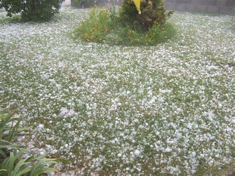 Guardate che accumulo oltre i 60 cm meteo cronaca diretta: Violenta grandinata in Francia: chicchi grandi come palle ...