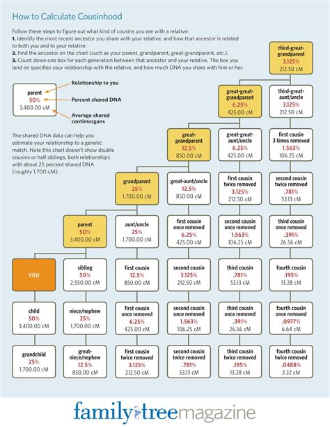 Free Printable Cousin Chart Templates Pdf Excel Word