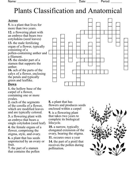 Flowering Plant Crossword Clue 7 Letters Best Flower Site