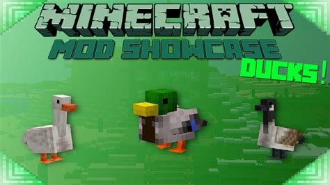 Duck Mod Minecraft Mod Showcase Birds Goose Youtube