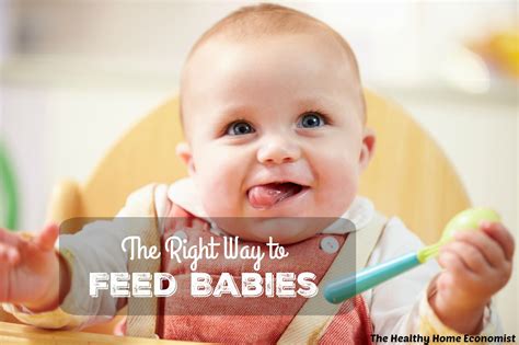The Right Way To Feed Babies The Healthy Home Economist