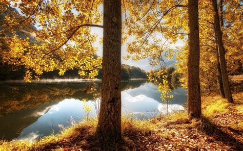 Nature Landscape Fall River Leaves Hill Trees Reflection Yellow Grass