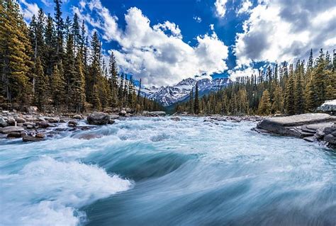 Forest Trees Mountains River Stream Canada Canadian Rockies Hd