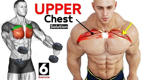 BEST EXERCISES UPPER CHEST Workout YouTube