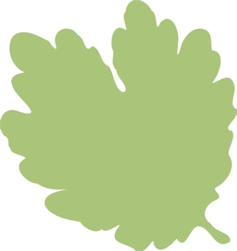 Leaf clipart leaf shape, Leaf leaf shape Transparent FREE for download on WebStockReview 2020