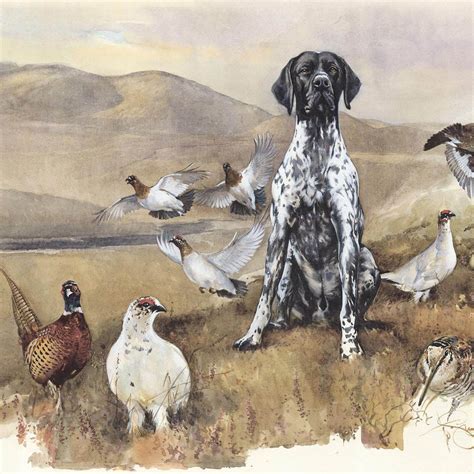 Authors Print Bird Dog Gsp Hunting Art For Sale Hunting Print Gsp