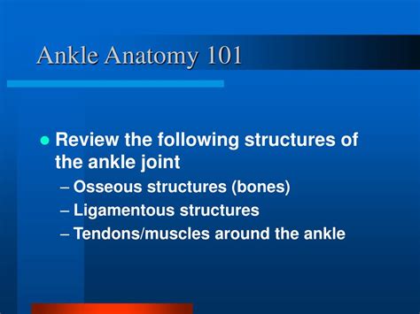 Ppt Ankle Anatomy And Exam Powerpoint Presentation Free Download