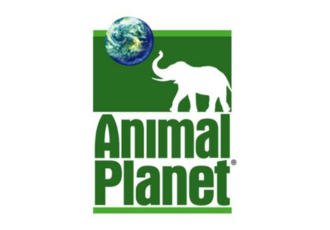 Animal Planet logo old - Logok We upload amazing new logo designs everyday!