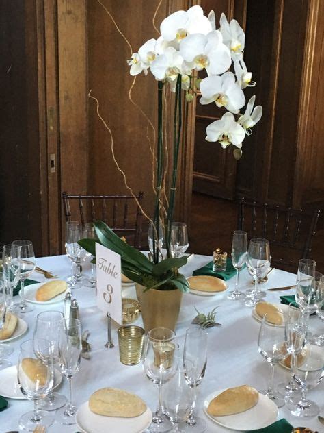33 Best Wedding Love Images Wedding Orchid Centerpieces Wedding Potted Orchid Centerpiece