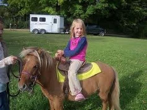 Smaller critters like guinea pigs. Petting Zoo Rental Pony Rides Rent Birthday Party Pony San ...