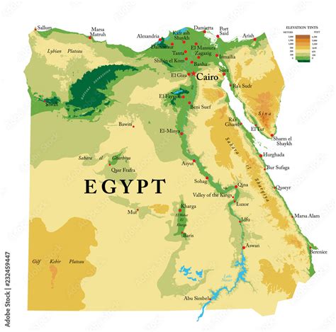 Egypt Physical Map Stock Vector Adobe Stock