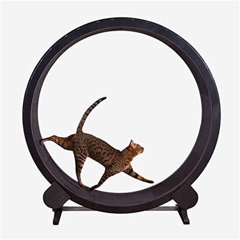 Cat Treadmill Ferris Wheel Pet Furniture Cat Exercise Wheel Cat