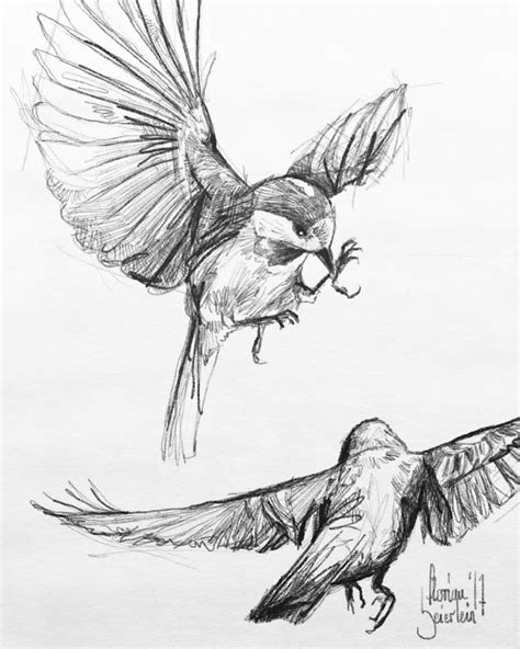 √ Sketches Of Birds Flying