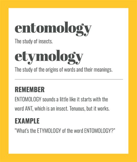 Etymology Vs Entomology Easy Ways To Remember The Difference Sarah