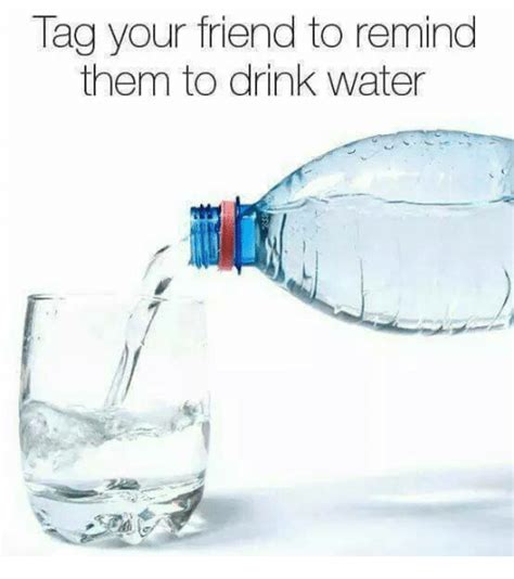 The Best 19 Drink Your Water Meme Funny Tolesatesz