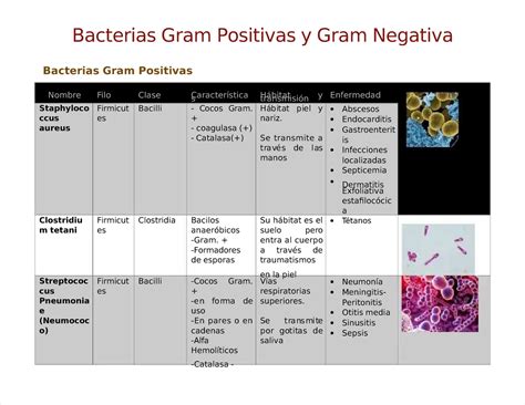 Pdf Bacterias Gram Positivas Y Gram Negativa Compress Bacterias Gram