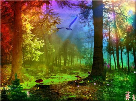 3d Abstract Rainbow Forest Abstract Fantasy Hd Desktop