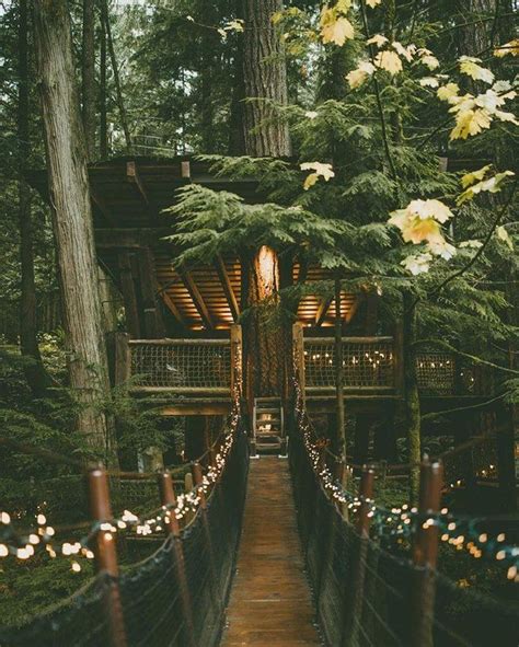 A Treehouse In The Middle Of Jungle With Bridge Capilano Suspension