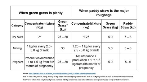 Feeding Management Of Dairy Cattle Part 2