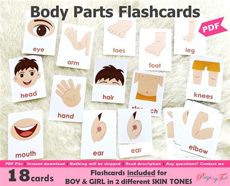 Body Parts Flashcards Printable Montessori 3 Part Cards Toddler