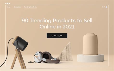 90 Trending Products To Sell Online In 2021 For Profit