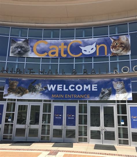 Catcon 2019 Our Fifth Anniversary Catcon Worldwide