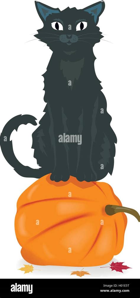 Black Cat Sitting On Halloween Pumpkin Stock Vector Image And Art Alamy