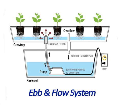 Gambar Skema Ebb And Flow System Berita Pertanian Mitalom