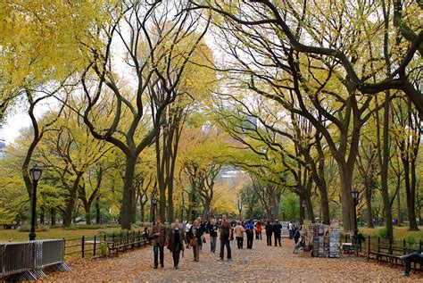 Nyc ♥ Nyc Central Park Conservancy Receives 100 Million Donation