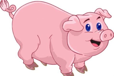 Gambar babi untuk diwarnai download now aneka mewarnai gambar hewan. Gambar Kartun Babi Imut Lucu