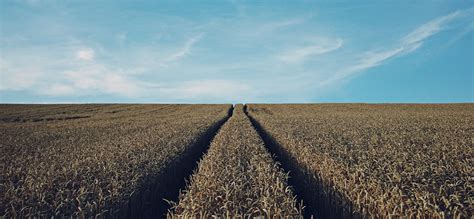 Since then, it has formed a remarkable legal regime affecting our national land law until today. Land Law | AllAboutLaw