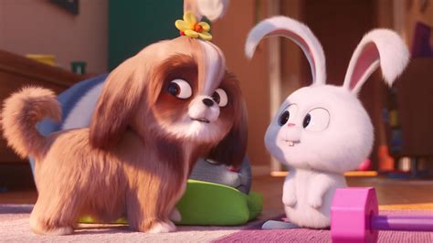New Trailer For The Secret Life Of Pets 2 Focuses On Tiffany Haddishs