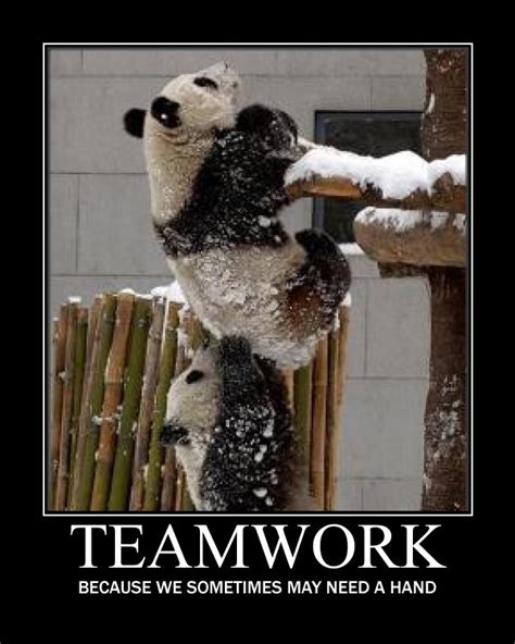 What is a motivational message? 42 INSPIRATIONAL TEAMWORK QUOTES.... - Godfather Style