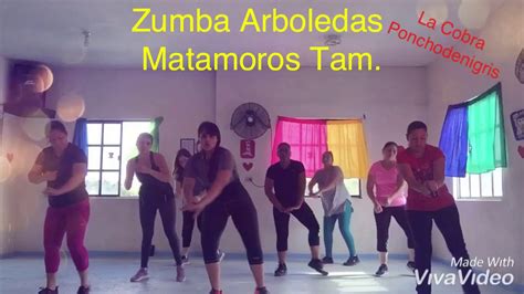 La Cobra De Ponchó De Nigris Zumba Daira Madrigal Youtube