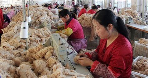 Untuk mempersiapkan tenaga profesional di bidang it, bca secara spesifik merancang sebuah program bagi lulusan ilmu komputer yang disebut sebagai it trainee. Penyalur LOWONGAN Outsourcing Tenaga Operator Produksi Pabrik PONOROGO PEMALANG insansi atrium ...