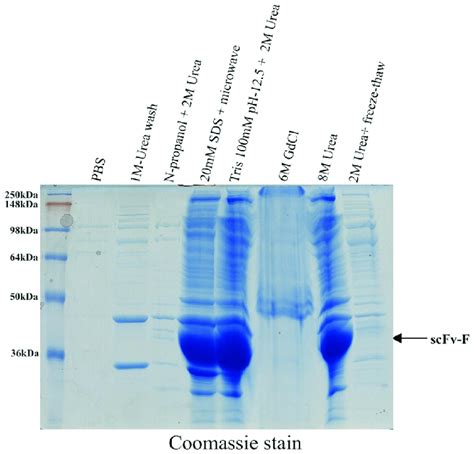 Comparison Of Inclusion Body Solubilization Using Different Methods