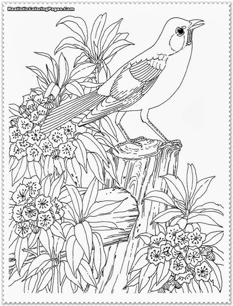 Realistic Coloring Pages For Kids Coloring Pages