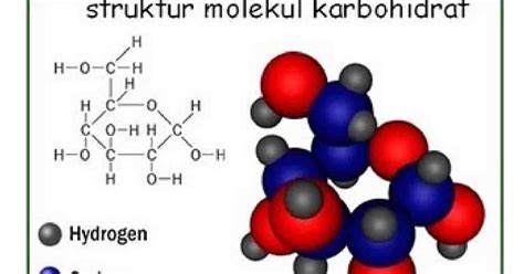 Lab Biomol Dasar Biologi Molekuler