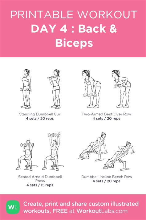 Day Back Biceps My Visual Workout Created At Workoutlabs Com